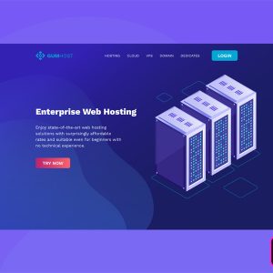 Landing Page Design & Hosting