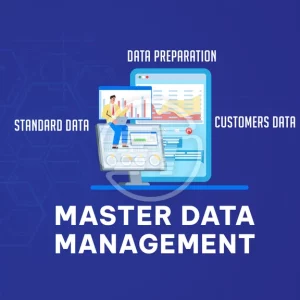 Master Data Management (MDM) Services